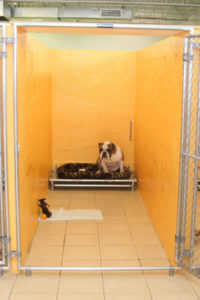 Find a kennel near me in Broward County, Florida. Arfington Pet Resort in Tamarac - pet boarding, doggy daycare in South Florida. Arfington Pet Resort is located at at 441 and Commercial Blvd: 3910 NW 49 St, Tamarac Florida 33309