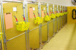 Find a kennel near me in Broward County, Florida. Arfington Pet Resort in Tamarac - pet boarding, doggy daycare in South Florida. Arfington Pet Resort is located at at 441 and Commercial Blvd: 3910 NW 49 St, Tamarac Florida 33309